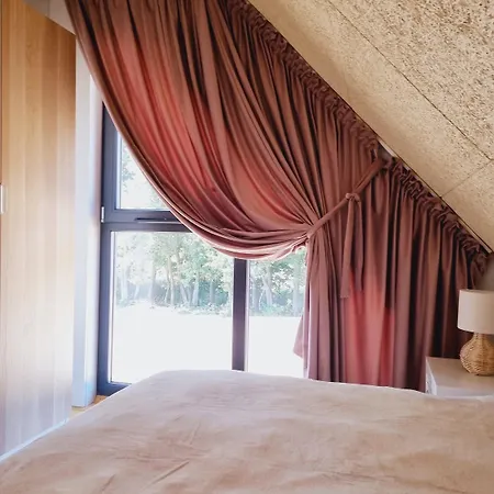 Cicha Woda - * Nowe Bagienice